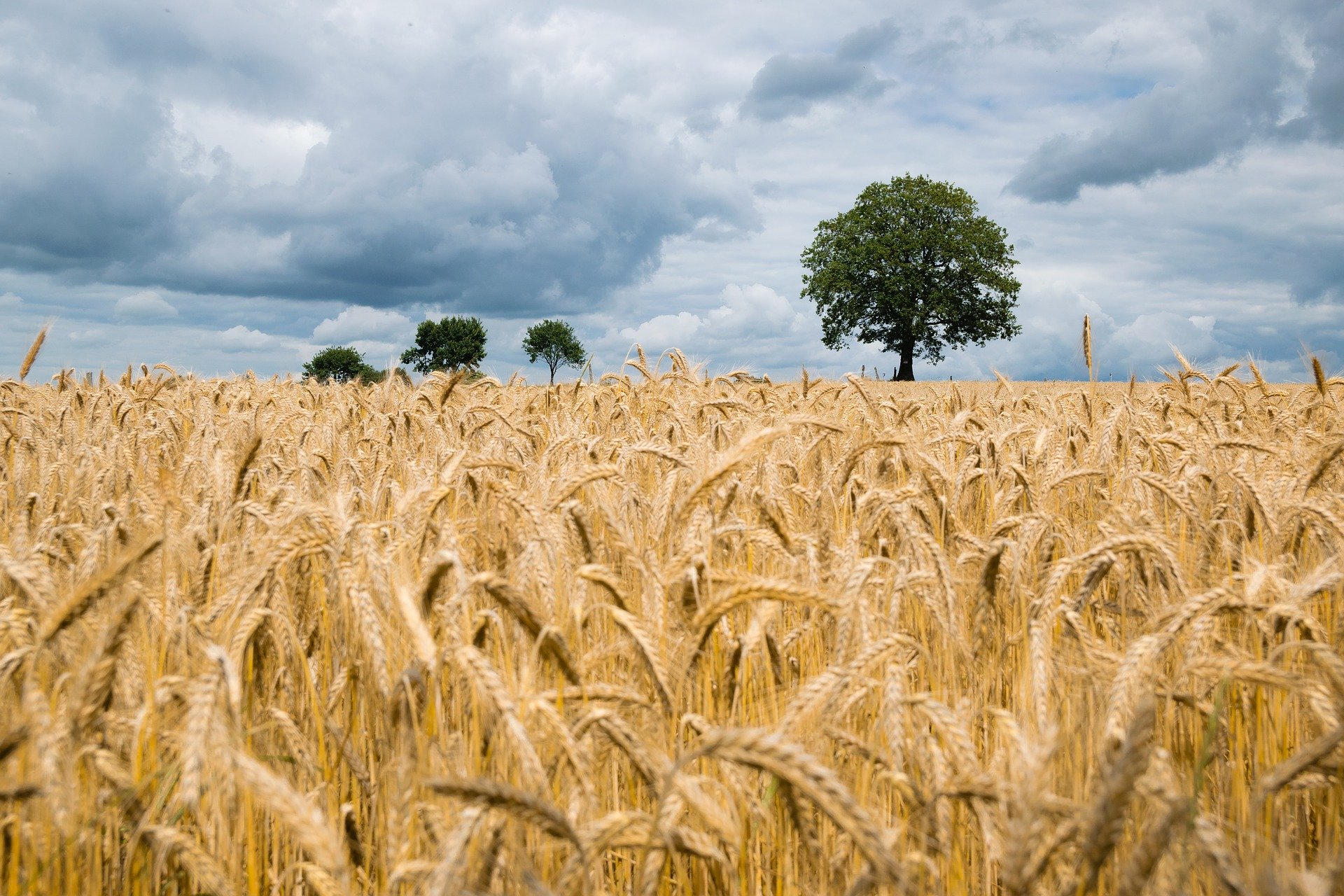 Cabinet de recrutement agricole