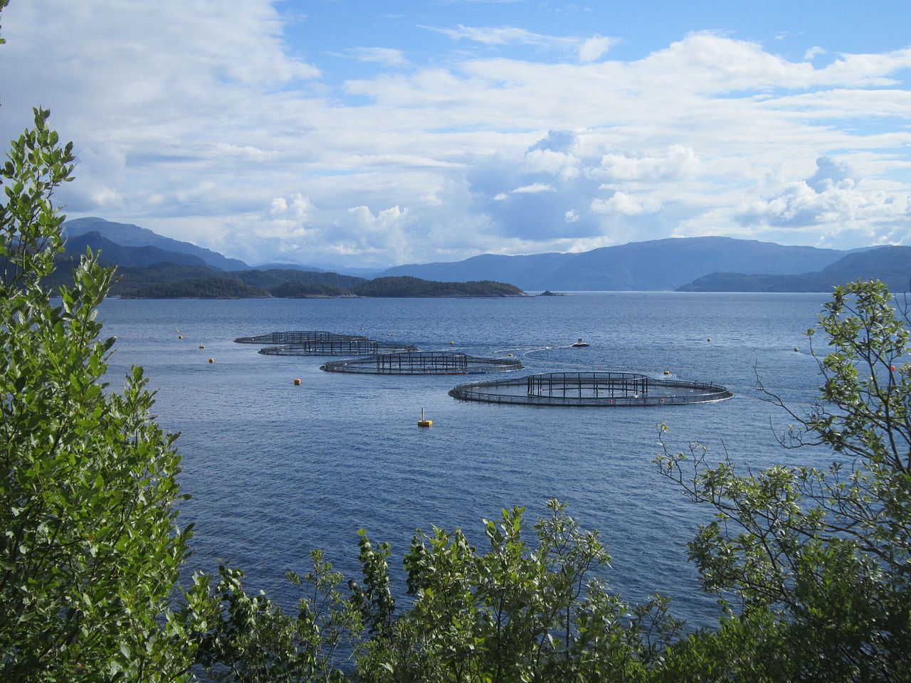 emploi en aquaculture