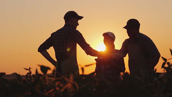 recrutement agriculture