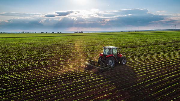 tracteur sur culture