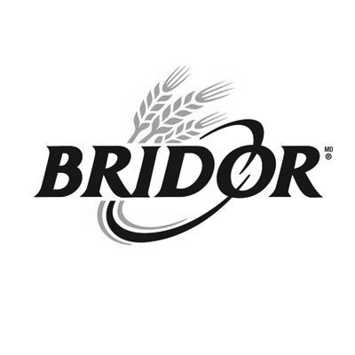 BRIDOR