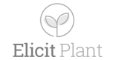 ELICIT PLANT